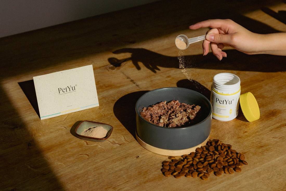 Zurück zur Bewegung: PetYu Gelenke+ hilft Hunden und Katzen auf die Pfoten
