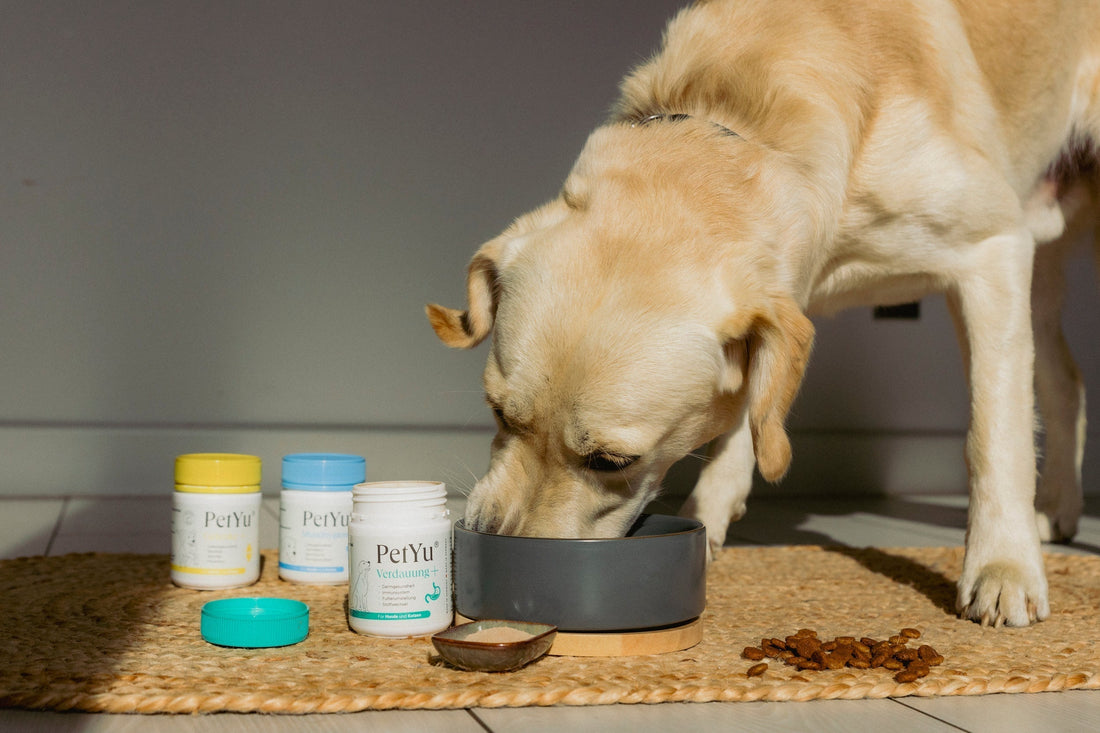 Mehr als nur Probiotikum: PetYu®