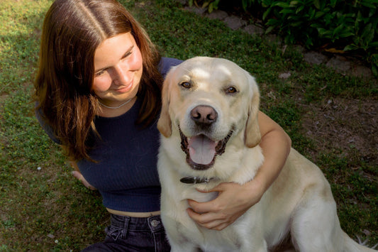Verdauungsprobleme bei Hunden: Ursachen, Symptome & Behandlung