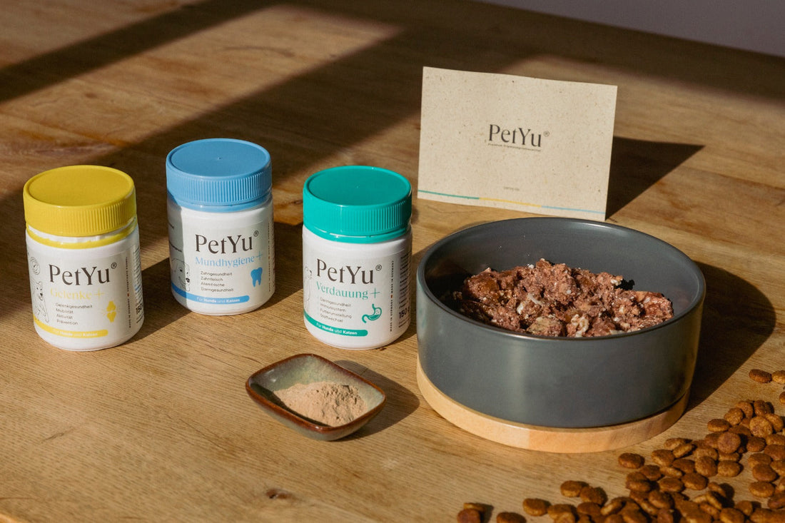 Keine Versandkosten für beste Tiergesundheit: PetYu® schickt Premium-Futterergänzung versandkostenfrei in jedes Zuhause