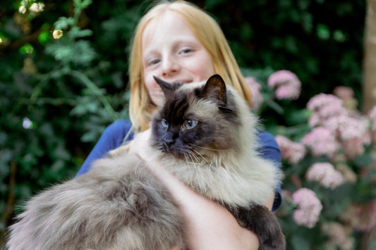 Tiergesundheit neu gedacht: PetYu®