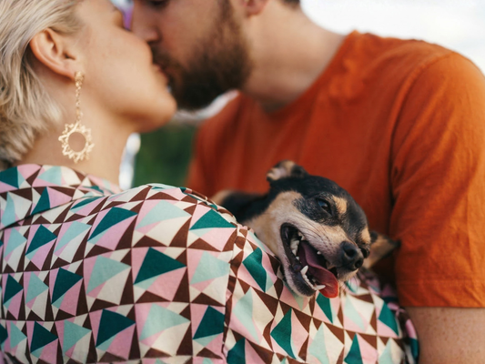 Paar mit kleinem Hund in einer Umarmung