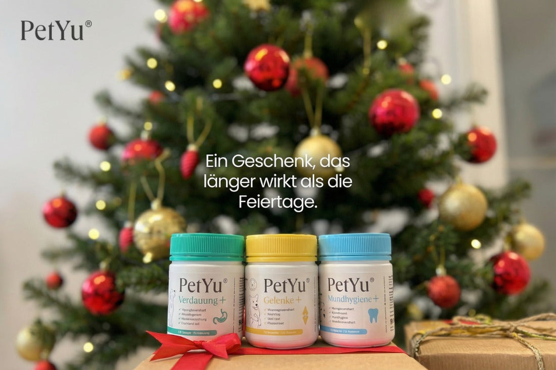 Weihnachten für Fellnasen – Ruhe statt Reizung: Wie PetYu Hunden und Katzen durch stressige Wintertage hilft