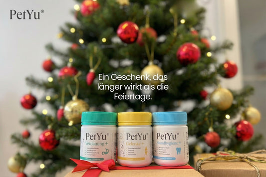 Weihnachten für Fellnasen – Ruhe statt Reizung: Wie PetYu Hunden und Katzen durch stressige Wintertage hilft