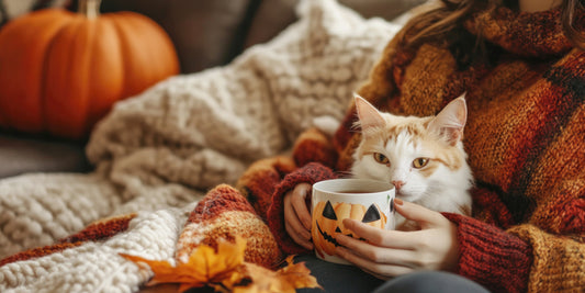 Herbst-Gemütlichkeit & Rundum-Wohlfühlpaket – „Herbstzeit = Kuschelzeit“