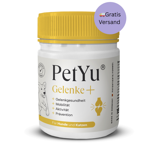 Gelenke+
