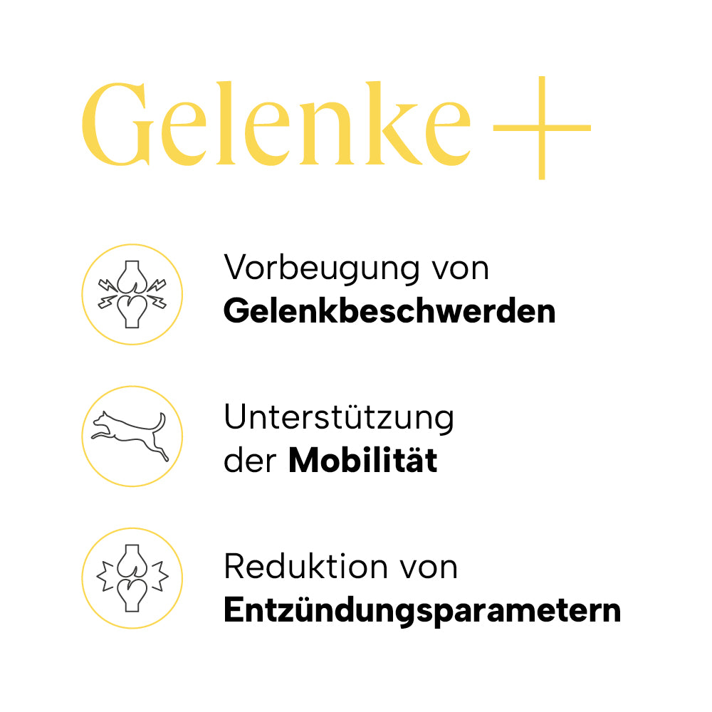 Produktvorteile Gelenke+ mit Icons