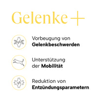 Produktvorteile Gelenke+ mit Icons