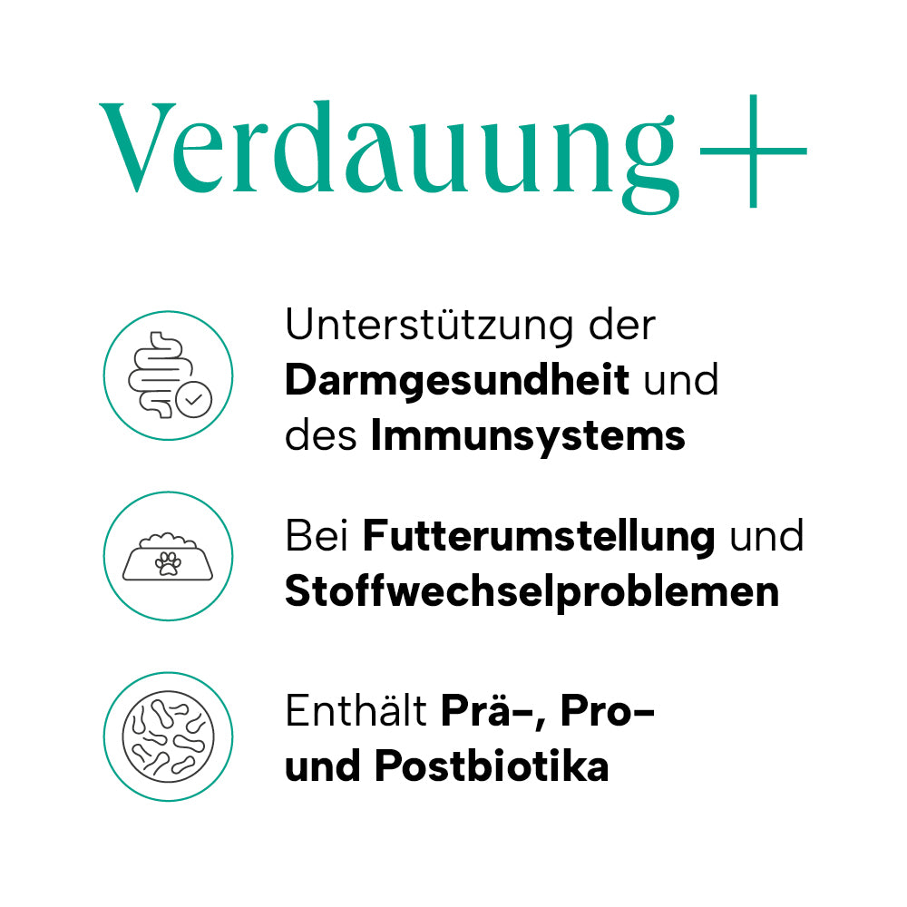 Produktvorteile Verdauung+ mit Icons