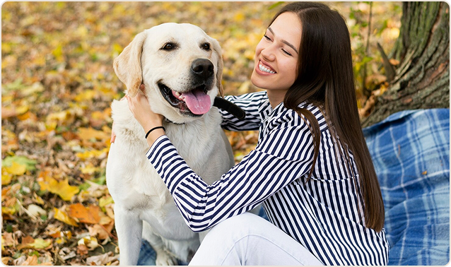 Frau mit Labrador im Park