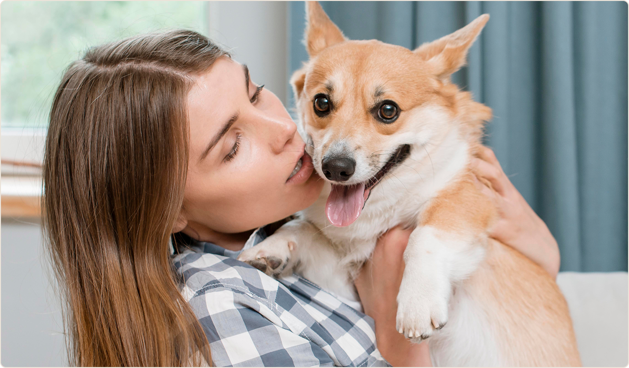 Junge Frau hält lächelnden Corgi im Arm zuhause