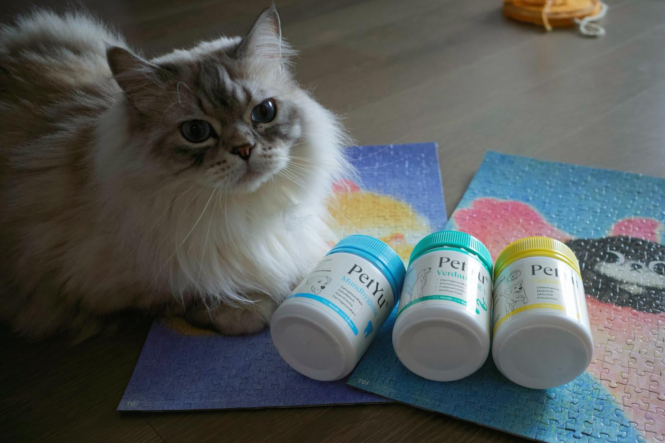 Haustierpflege mit PetYu – Mundhygiene+ und Verdauung+ für gesunde Hunde und Katzen
