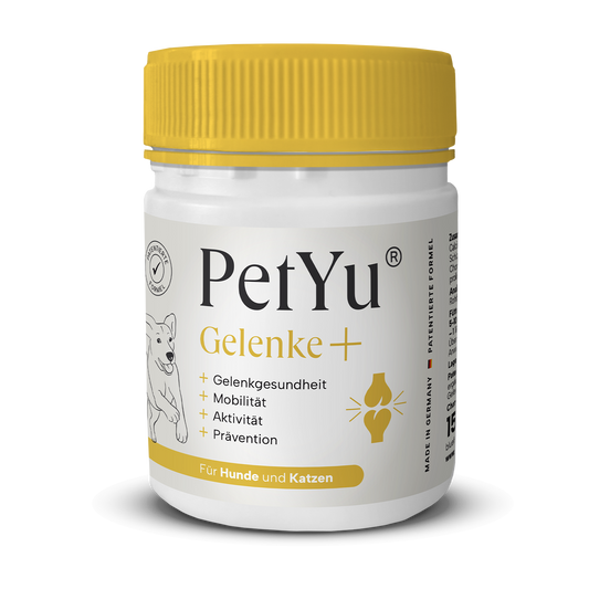 Gelenke+
