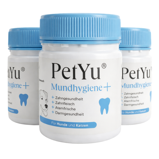 Mundhygiene+ Pack of 3