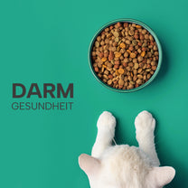 Napf mit Futter – PetYu Verdauung+ fördert gesunde Verdauung bei Hunden und Katzen