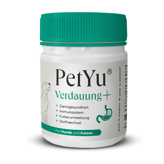 Verdauung+