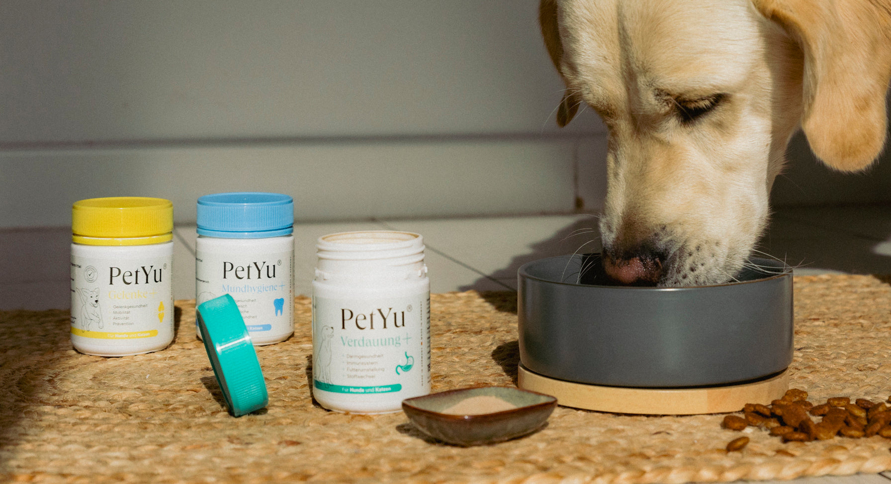 Hund frisst Futter mit petyu Pulver aus Napf