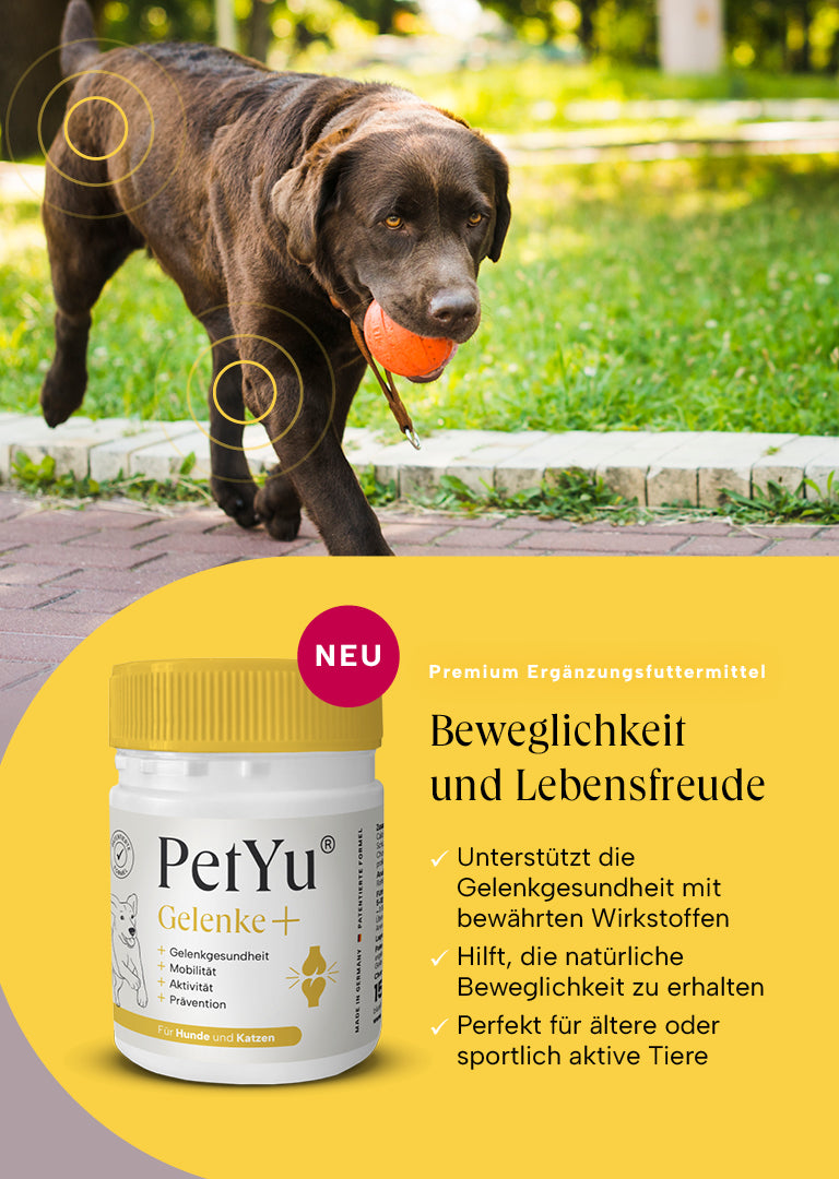 petyu Gelenke+ Beweglichkeit und Lebensfreude