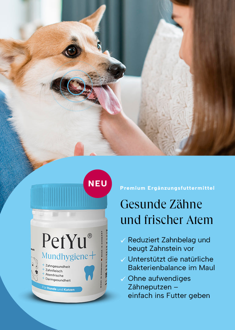 petyu Mundhygiene+ Gesunde Zähne und frischer Atem