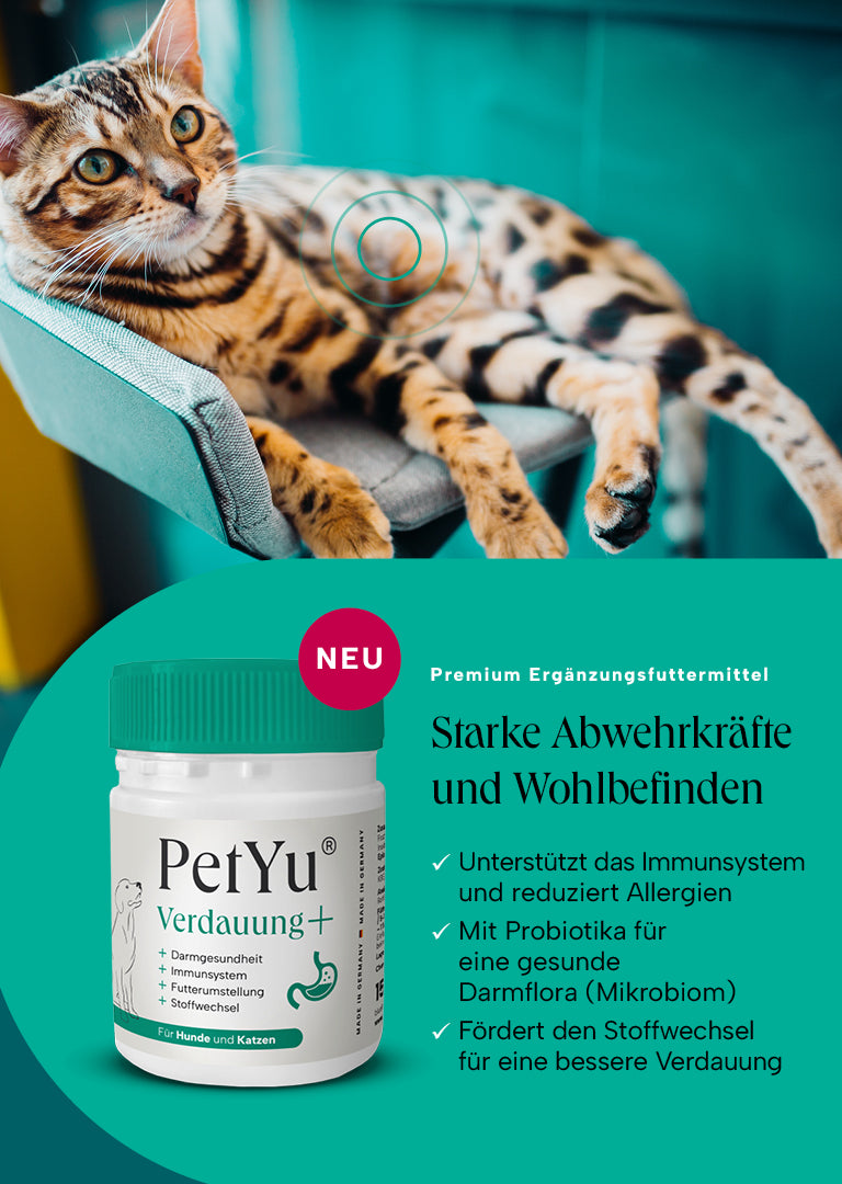 petyu Verdauung+ Starke Abwehrkräfte und Wohlbefinden